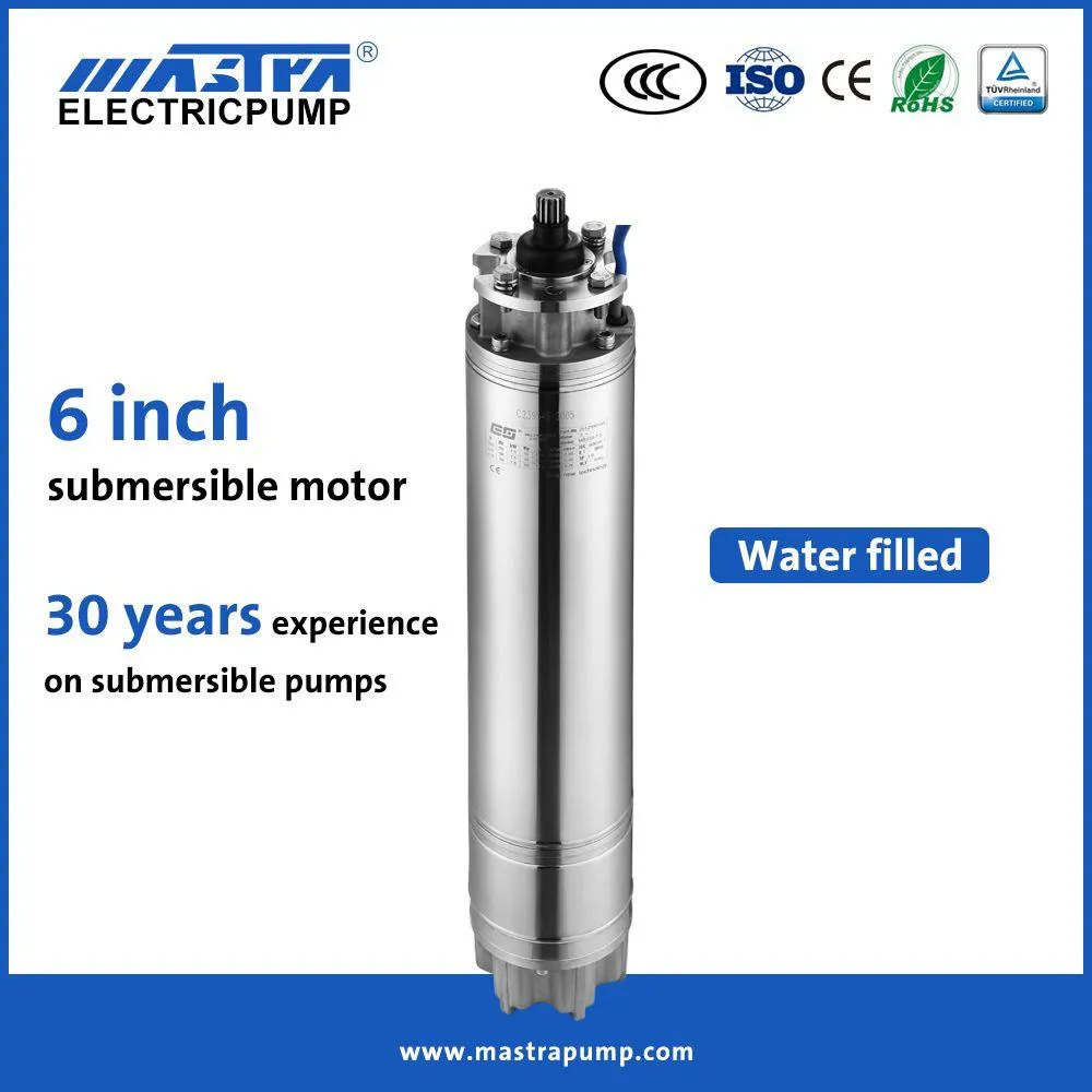 MOTEUR MASTRA 6" 30HP 380V BAIN D'EAU REBOBINABLE 380V/50HZ