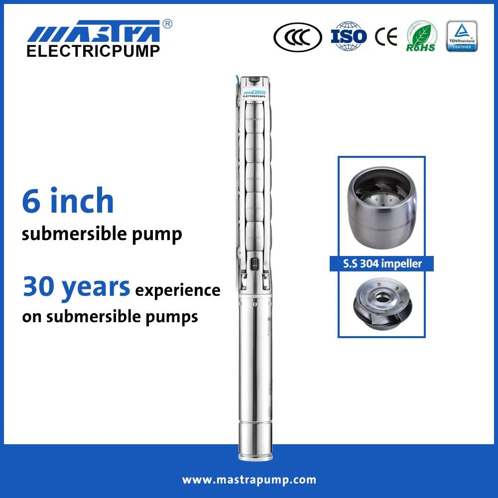 pump imm mastra 6"-bs/06-5.5hp match6"